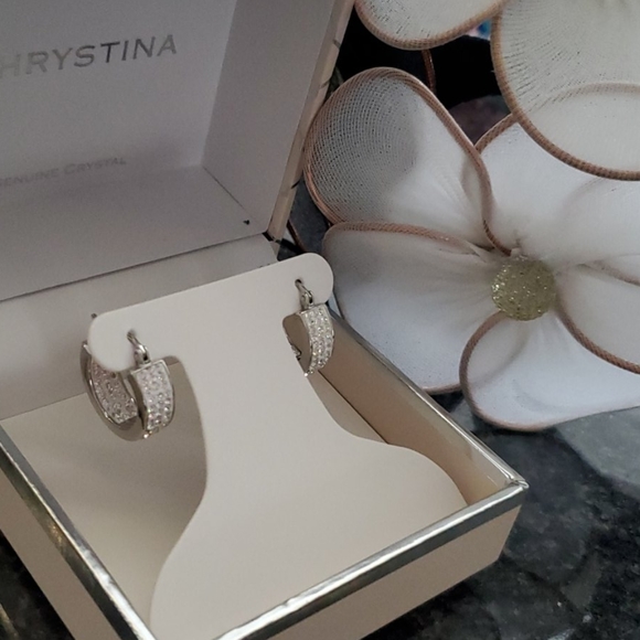 Christina Jewelry - Earnings